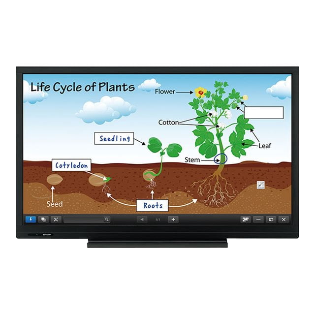 Sharp Elect Large Format Displays PNC703B 70 in. HD 6pt Touch