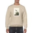 thumbnail image 1 of Sharp-tailed Finch Sweatshirt Men -John James Audubon Designs, Male Small, 1 of 4