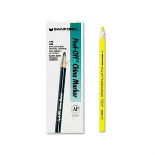 Sharpie 39108PP Fine Point Metallic Silver Permanent Marker, 1 Blister Pack with 2 Markers Each (Packaging May Vary)