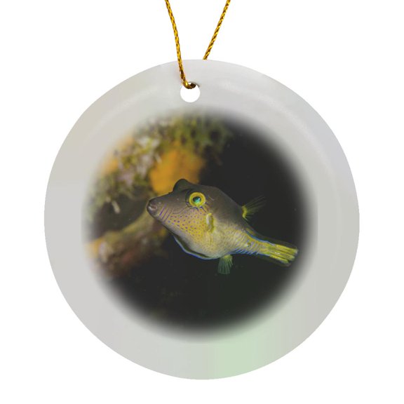 3drose, Sharpnose Puffer Fish, Bonaire, Netherlands Antilles-ca09 Pox0102 - Pete Oxford, Circle Porcelain Ornament