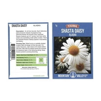 Shasta Daisy Flower Seeds - Alaska Variety - 1 Gram Seed Packet - White Blooms, Yellow Centers - Perennial Daisies - Flower Gardening
