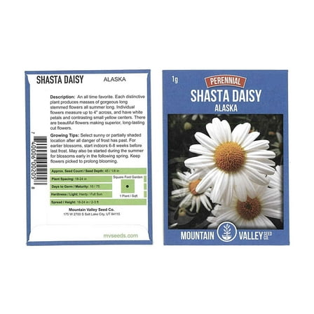 Shasta Daisy Flower Seeds - Alaska Variety - 1 Gram Seed Packet - White Blooms, Yellow Centers - Perennial Daisies - Flower Gardening