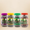thumbnail image 1 of Shastha Traditional Dry Paan Digestive Mix Mukhwas, 4 count, pack of 1, 1 of 6