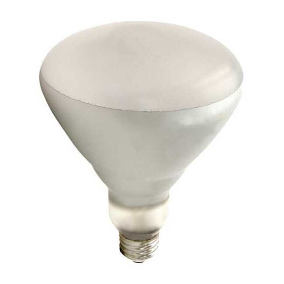 Shat-R-Shield SHAT-R-SHIELD 125W, BR40 Incandescent Light Bulb 125BR40/1