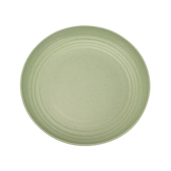 Shatter-resistant plastic reusable dinner plates, ideal for kitchen use, camping, and more. Available in a range of colors and dishwasher and microwave safe