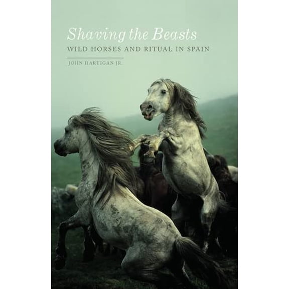 Pre-Owned Shaving the Beasts : Wild Horses and Ritual in Spain (Paperback)