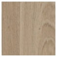 thumbnail image 1 of Shaw 3039V Praxis 6" Wide Vinyl Flooring - Expose, 1 of 5