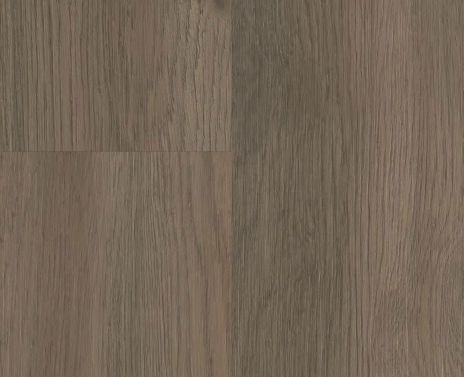 Shaw 3100V Infinite Spc 7" X 48" Embossed Vinyl Flooring - Raconteur