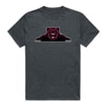 thumbnail image 1 of Shaw University Bears Cinder College T-Shirt, Heather Charcoal - Small, 1 of 1