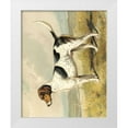 thumbnail image 1 of Shaw, Vero 15x18 White Modern Wood Framed Museum Art Print Titled - Fox Hound, 1 of 4