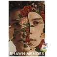 thumbnail image 1 of Shawn Mendes - Floral Wall Poster with Push Pins, 22.375" x 34", 1 of 3