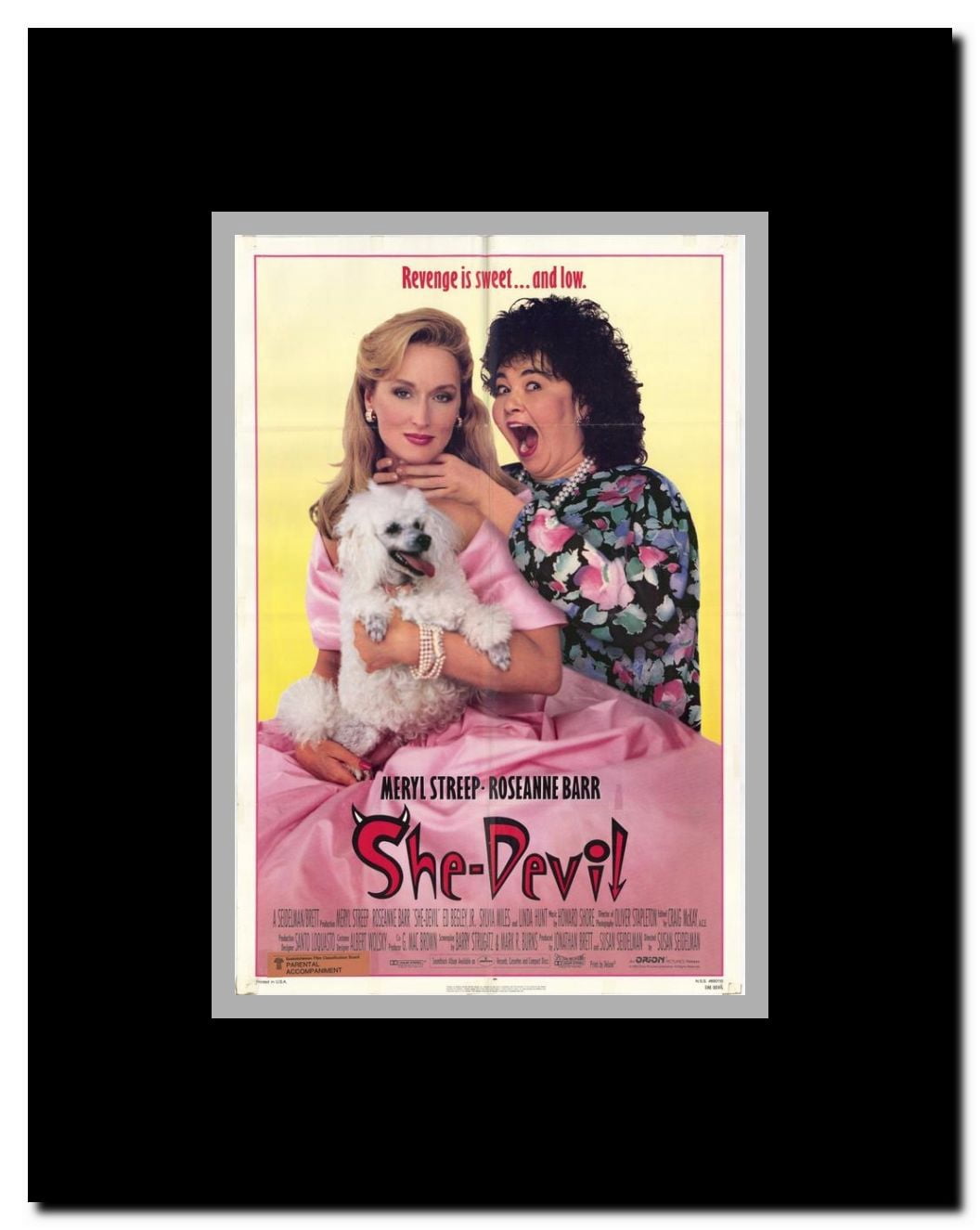 She-Devil Framed Movie Poster