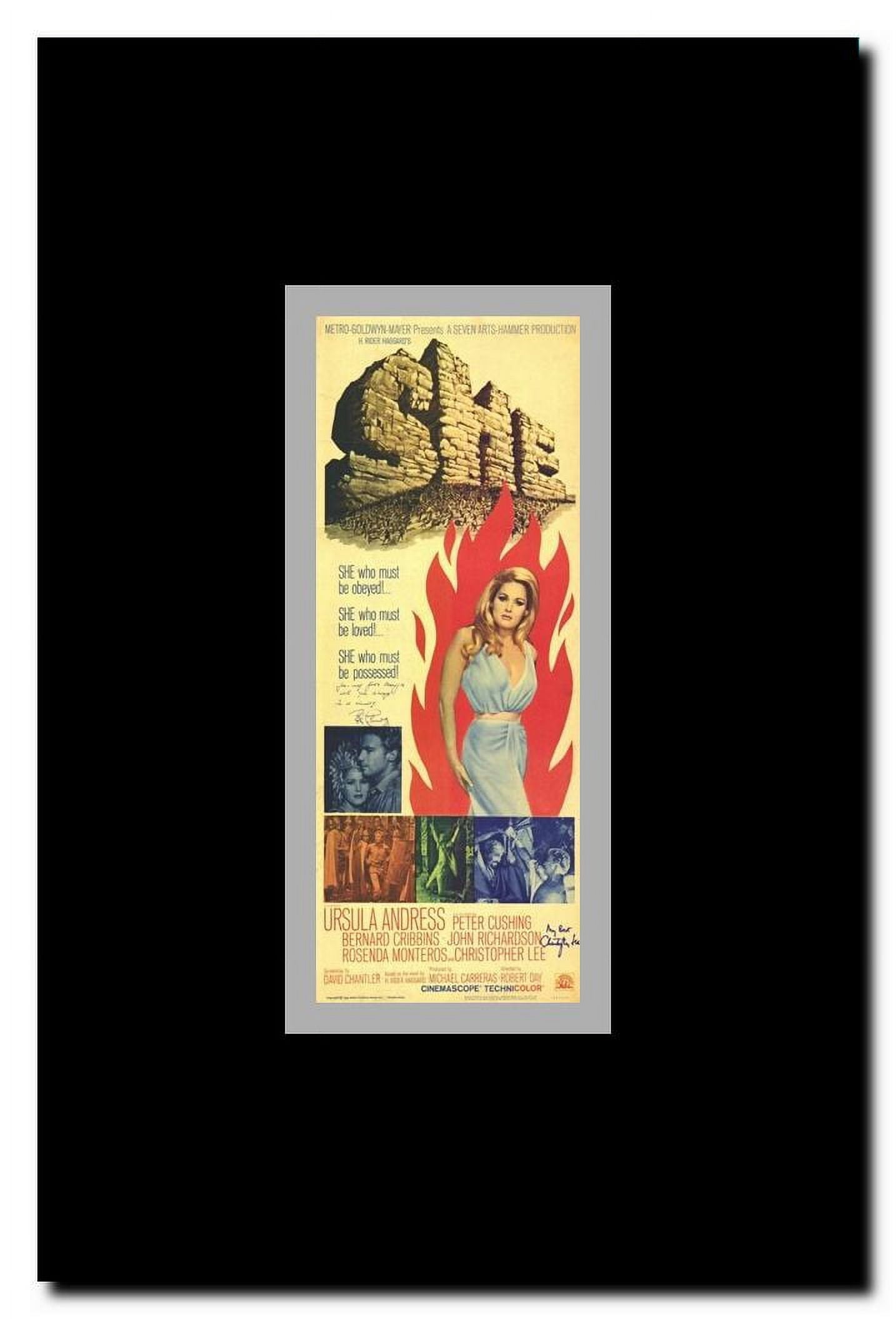 She Framed Movie Poster