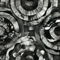 thumbnail image 1 of She Sleeps (LP), 1 of 1