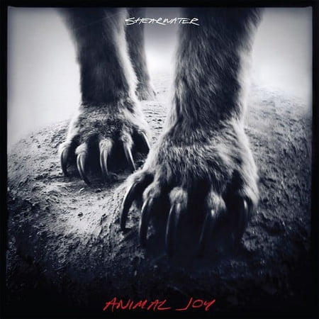 Shearwater - Animal Joy - Music & Performance - CD