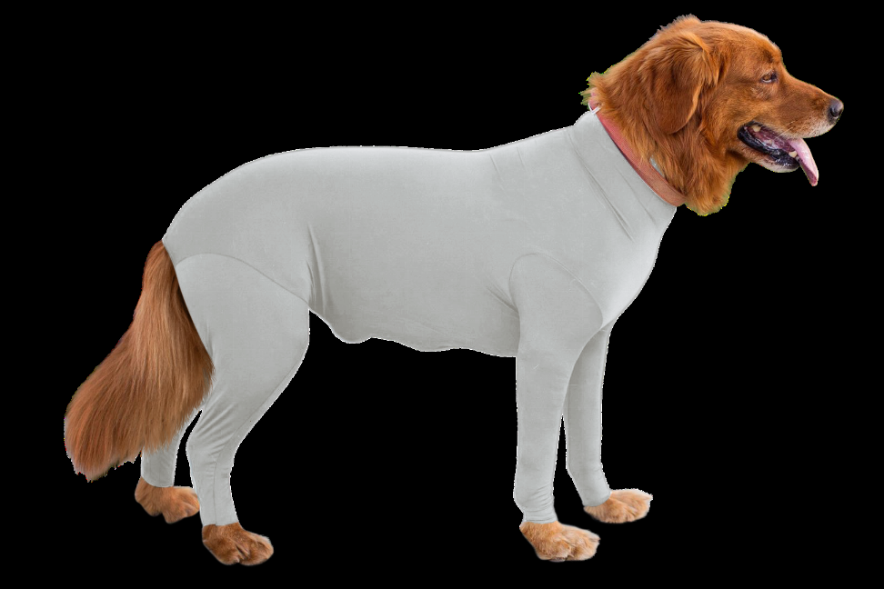 Shed Defender Original