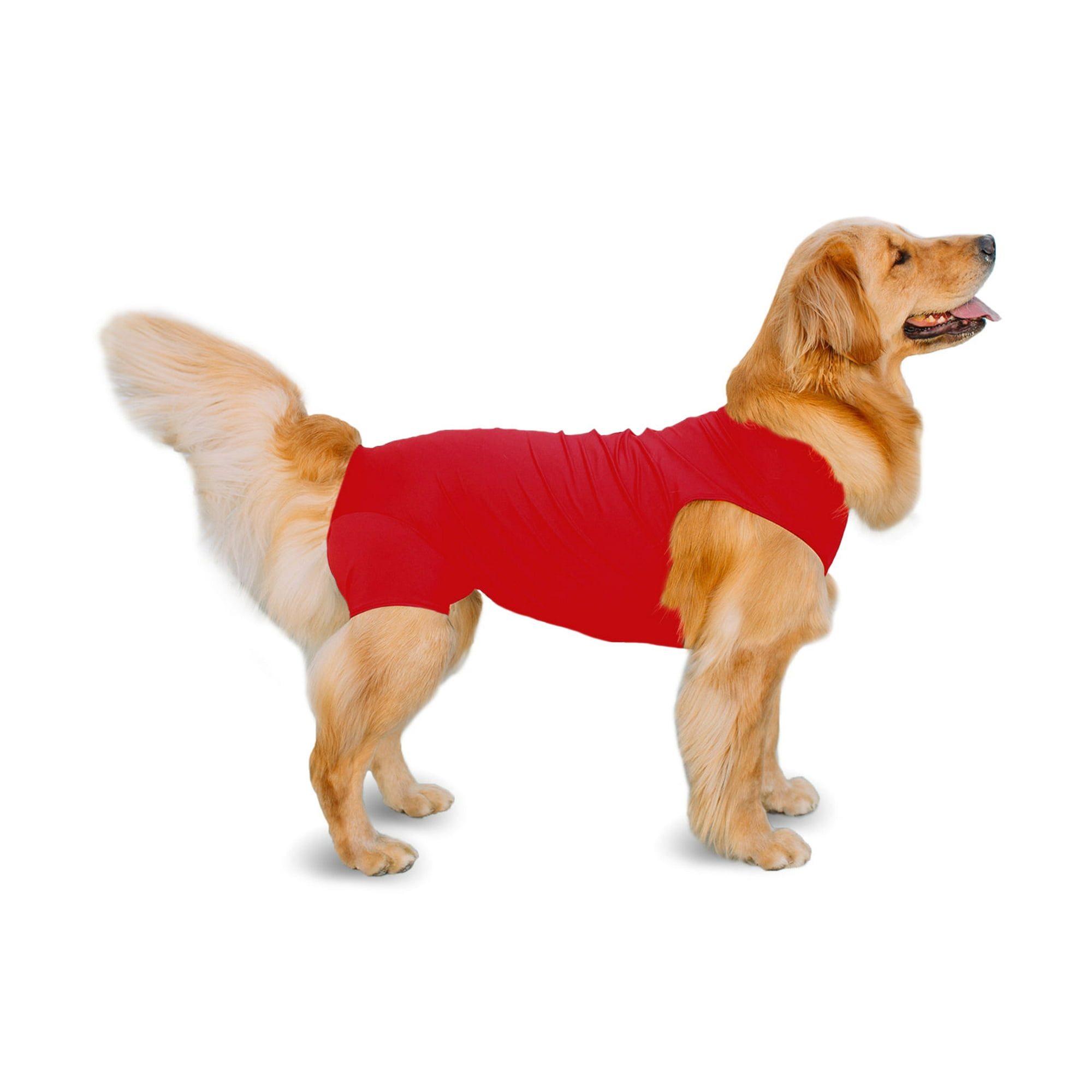 – DOG SHIRTS, DOG SWEATERS, DOG JACKETS AND LICENSED