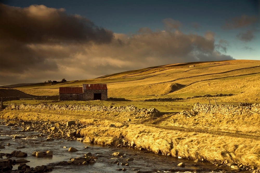 Shed In The Yorkshire Dales England Canvas Art - John Short Design Pics (36 x 24)