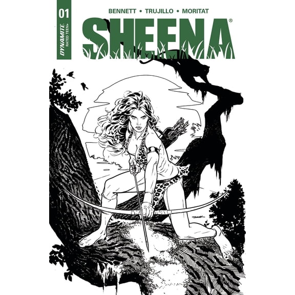 Sheena #1 (Cvr G 20 Copy Sook Incv) D. E. Comic Book