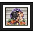thumbnail image 1 of Sheena Pike Art 14x12 Black Ornate Wood Framed with Double Matting Museum Art Print Titled - Sweet Halloween Couple Puppies, 1 of 4