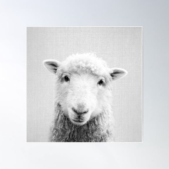 Sheep - Black & White Poster Wall Art, Modern Wall Decor For Living Room Bedroom, 30x30 UNFRAMED