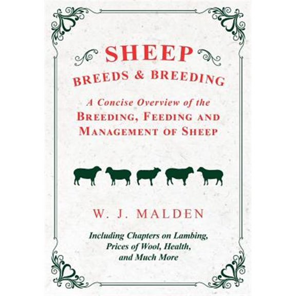 Pre-Owned Sheep Breeds and Breeding - A Concise Overview of the Breeding, Feeding and Management of Sheep, Including Chapters on Lambing, Prices of Wool, Health, and Much More (Paperback)