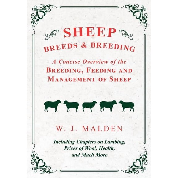 Sheep Breeds and Breeding - A Concise Overview of the Breeding, Feeding and Management of Sheep, Including Chapters on L, (Paperback)