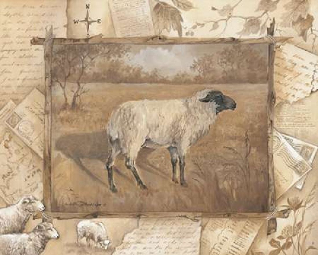 Sheep Canvas Art - Anita Phillips (24 x 30)