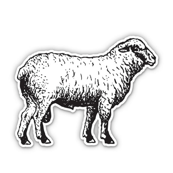 Sheep Drawing - 3" Vinyl Sticker - For Car Laptop Water Bottle Phone - Waterproof Decal