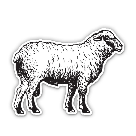 Sheep Drawing - 5" Vinyl Sticker - For Car Laptop I-Pad - Waterproof Decal