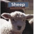 thumbnail image 1 of Pre-Owned Sheep (Hardcover) 9781560653462, 1 of 1