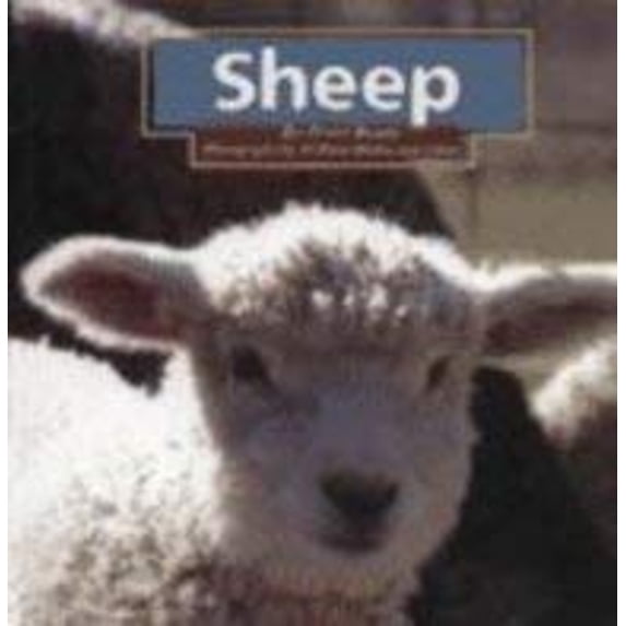 Pre-Owned Sheep (Hardcover) 9781560653462