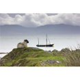 thumbnail image 1 of Sheep Enjoying The View  Scotland Poster Print, 1 of 2