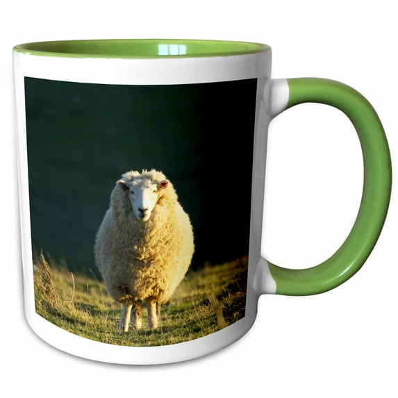 3drose, Sheep, Farm Animal, Dunedin, South Island, New Zealand-au02 Dwa4882 - David Wall, 11oz Two-tone Green Mug
