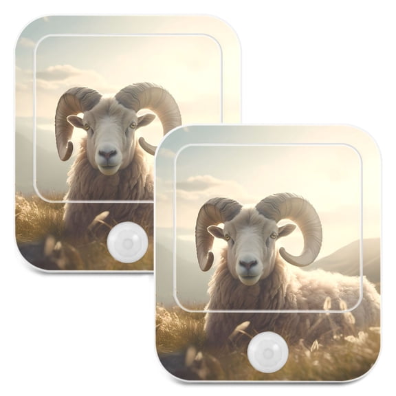Sheep Grass Sunlight Night Lights Plug into Wall LED with Auto Light Sensor Warm Light for Kids Hallway Bedroom Living Room Kitchen Bathroom Set of 2