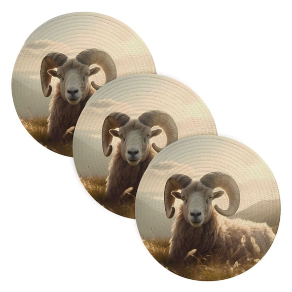 Sheep Grass Sunlight Trivet Mats Woven Pot Holders 3Pcs Non-Slip Heat Resistant for Hot Pots Pans Pats