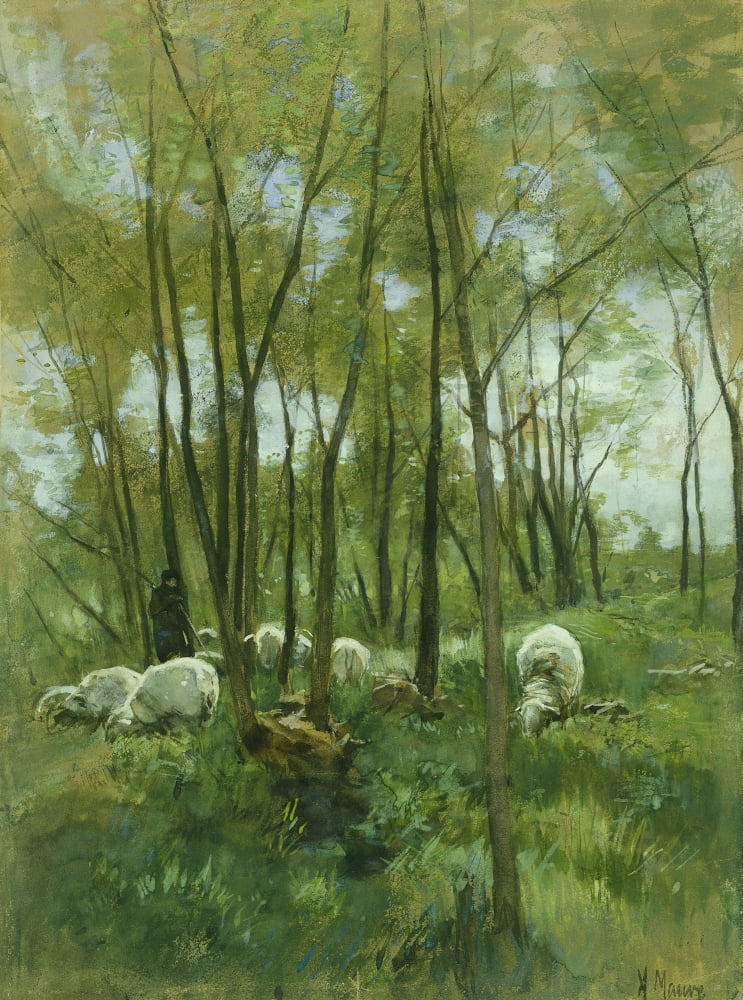 Sheep In A Forest Canvas Art - (24 x 36)
