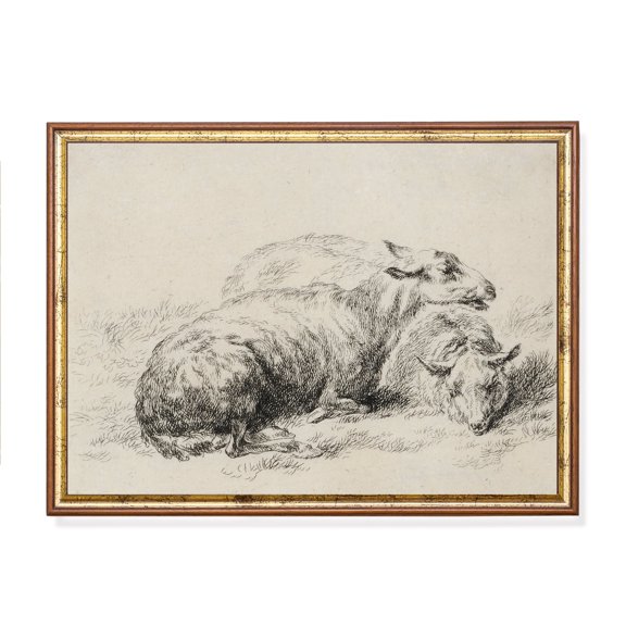 Sheep Sketch Neutral Farmhouse Animal Poster , Poster Print Only