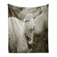 thumbnail image 1 of Sheep Soft Flannel Fleece Blanket, Fluffy Wooly Sheep with a Bell in the Wild Pastures and Mountains with His Herd Image, Cozy Plush for Indoor and Outdoor Use, 60" x 80", Multicolor, by Ambesonne, 1 of 6