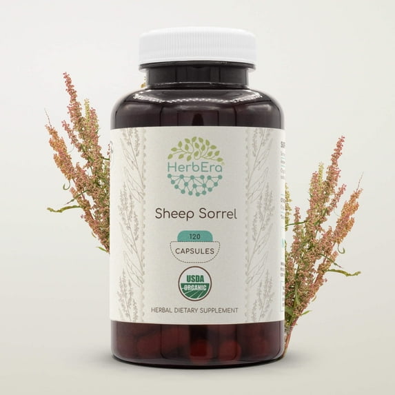 HerbEra Sheep Sorrel Capsules, Organic Herbal Dietary Supplement for Digestive Support, Certified Organic Sheep Sorrel (Rumex Acetosella) Dried Herb Capsules, Natural, 120 Capsules