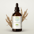 thumbnail image 1 of HerbEra Sheep Sorrel Tincture, Herbal Dietary Supplement for Digestive Support, Sheep Sorrel (Rumex acetosella) Dried Herb Extract, Natural, Alcohol-Free, Drops 4 oz, 1 of 7