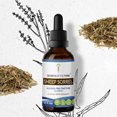 thumbnail image 1 of Secrets Of The Tribe Sheep Sorrel Tincture Dietary Supplement, Natural Herbal Extract for Digestive Support, Sheep Sorrel (Rumex acetosella) Dried Herb, Alcohol-Free Extract, Drops 2 oz, 1 of 6