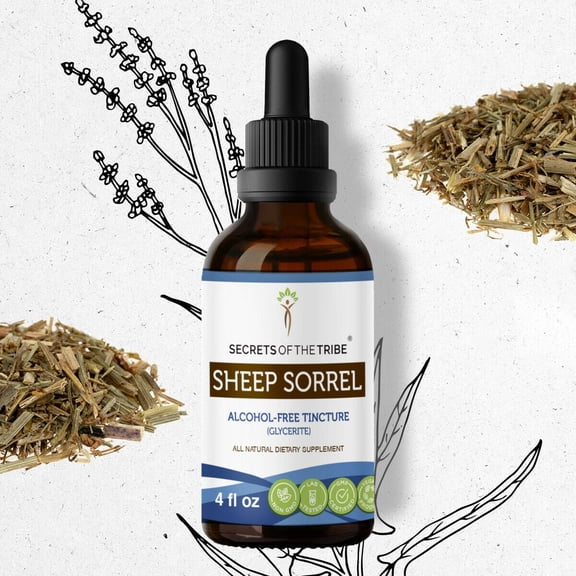 Secrets Of The Tribe Sheep Sorrel Tincture Dietary Supplement, Natural Herbal Extract for Digestive Support, Sheep Sorrel (Rumex acetosella) Dried Herb, Alcohol-Free Extract, Drops 4 oz