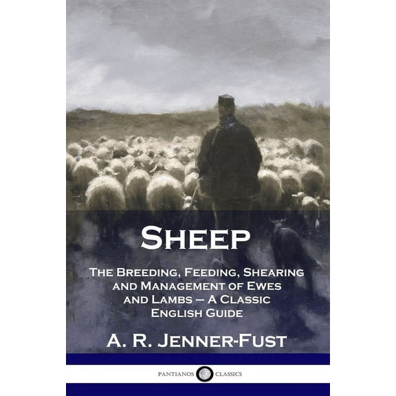 Sheep: The Breeding, Feeding, Shearing and Management of Ewes and Lambs - A Classic English Guide (Paperback)