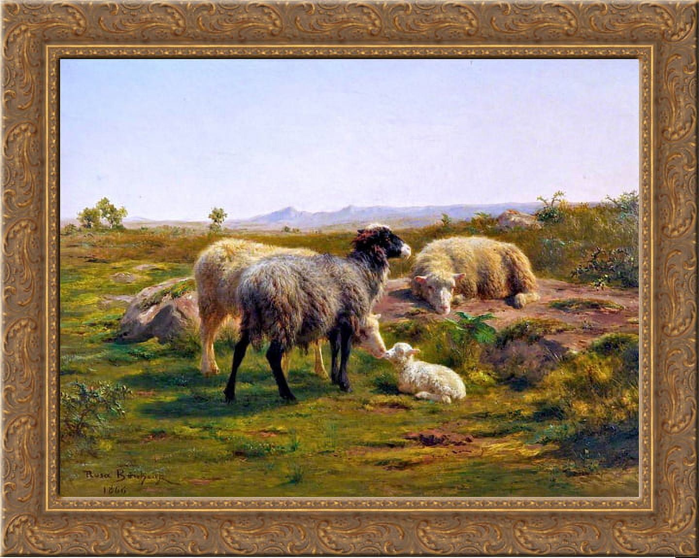 Sheep and a Lamb 24x20 Gold Ornate Wood Framed Canvas Art by Rosa ...