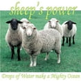 thumbnail image 1 of Sheep's Power - Drops of Water Make a Mighty Ocean - Music & Performance - CD, 1 of 1