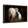 thumbnail image 1 of Sheep with a Lamb Standing in the Doorway of the Barn Maternal Instinct, Animals Framed Art Print Wall Art by Katarzyna Mazurowska Sold by Art.Com, 1 of 6