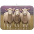 thumbnail image 1 of Sheeps in Field Dish Drying Mat, Absorbent Microfiber Pad Protector For Kitchen Counter Top Mat Dish Drainboard 18x24in Home Decor, 1 of 7