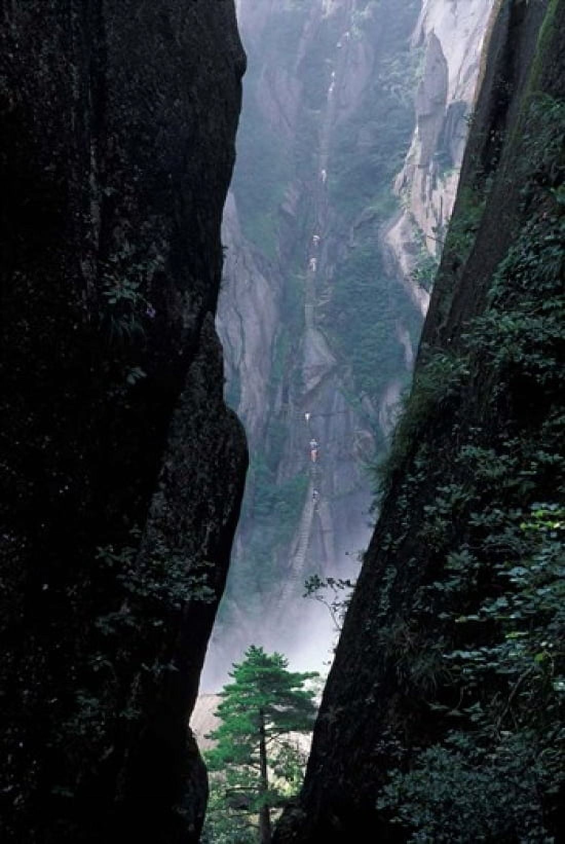 Sheer Cliffs on Mt Huangshan (Yellow Mountain) China Canvas Art - Keren Su DanitaDelimont (12 x 17)