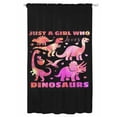 thumbnail image 1 of Sheer Curtains 108 Inches Long, Pink Dinosaur Semi Sheer Curtains Light Filtering Window Treatment, JUST A Boy Who Loves Dinosaur Jungle Animals Privacy Voile Drapes for Living Room 52x108 Inch, 1 of 7